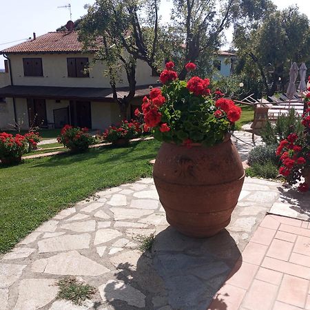 Agriturismo La Luciana 卡斯蒂里昂纳·德拉佩 外观 照片