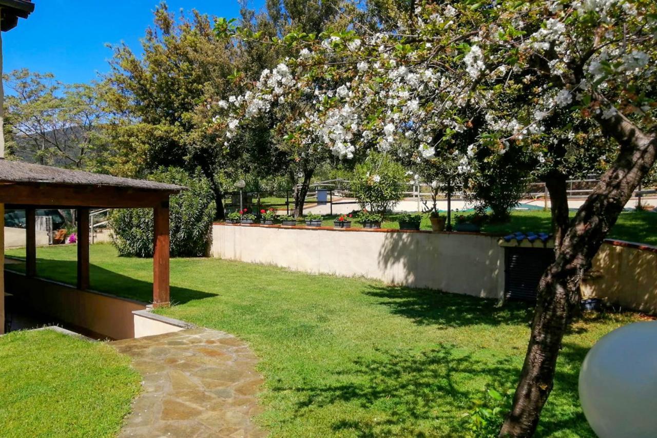 Agriturismo La Luciana 卡斯蒂里昂纳·德拉佩 外观 照片