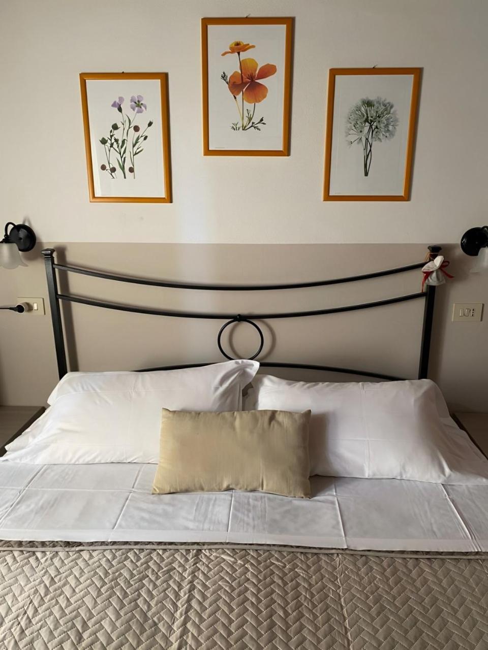 Agriturismo La Luciana 卡斯蒂里昂纳·德拉佩 外观 照片