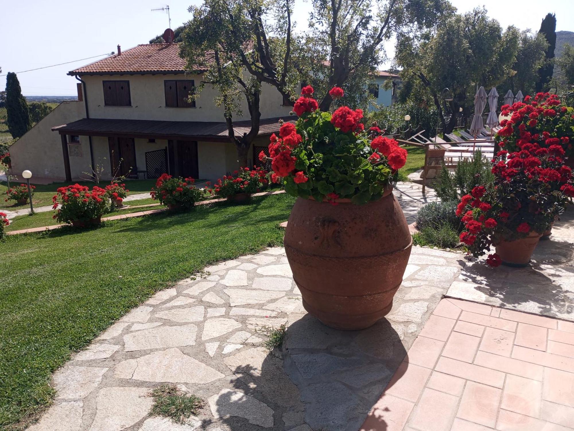Agriturismo La Luciana 卡斯蒂里昂纳·德拉佩 外观 照片