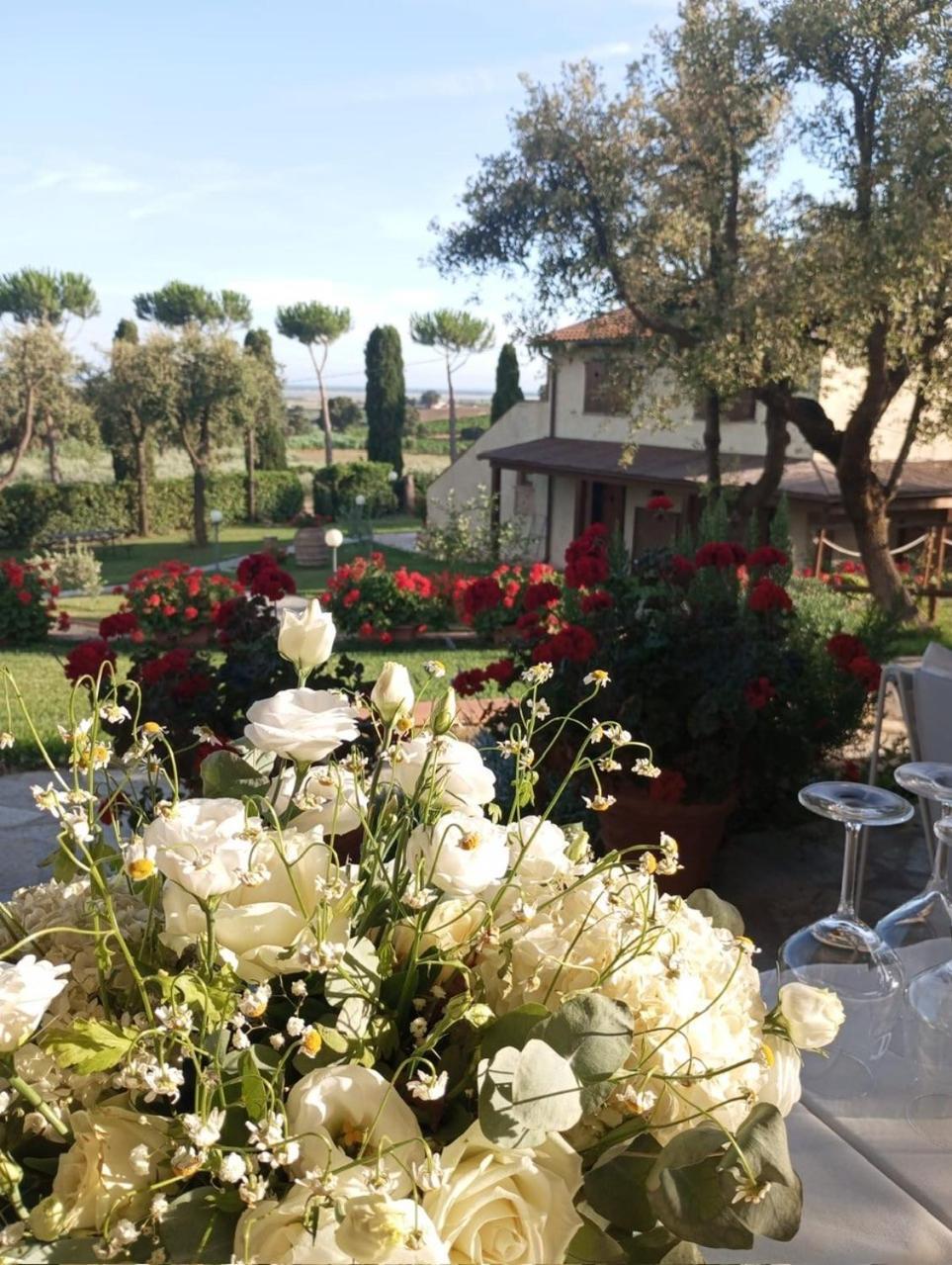 Agriturismo La Luciana 卡斯蒂里昂纳·德拉佩 外观 照片