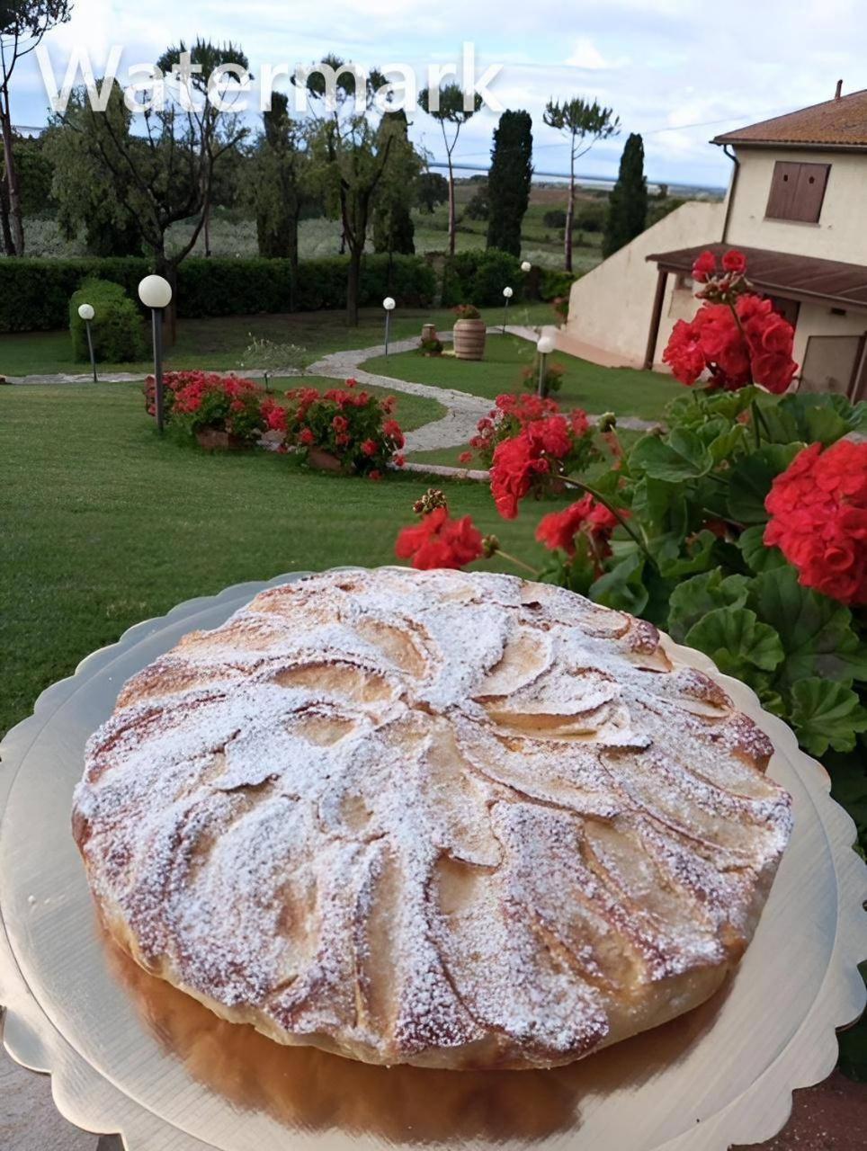 Agriturismo La Luciana 卡斯蒂里昂纳·德拉佩 外观 照片